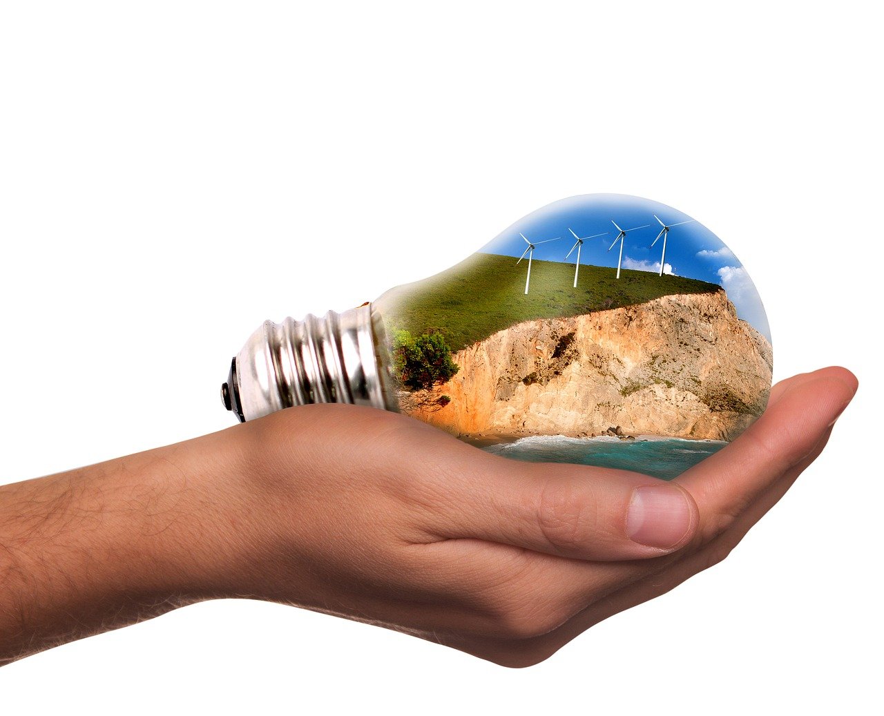 light bulb containing green energy