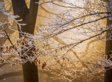 Fire safety in the winter months